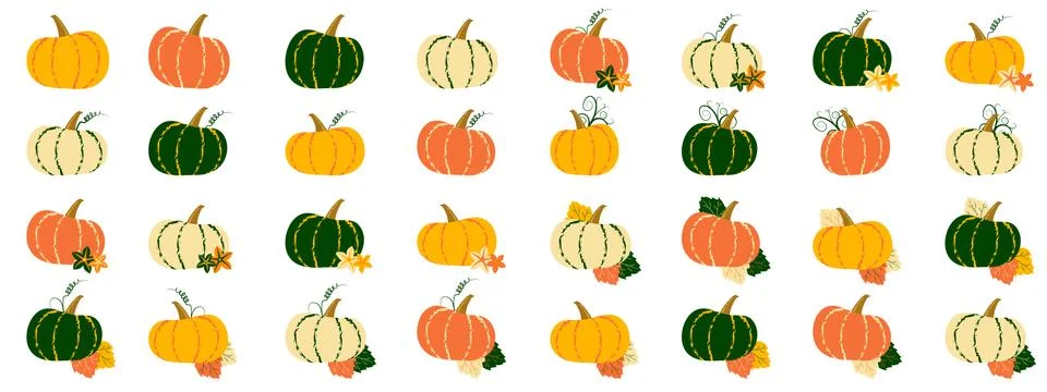 Big pumpkin vector set with flower, tendril, leaf Stock Illustration