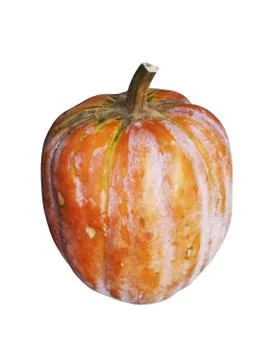 Big pumpkin on a white background Stock Photos