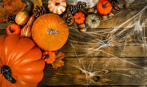 Big Pumpkins and different small pumpkins, cones, acorns and spider web with Stock Photos