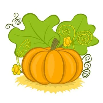 Big pumpkins on hay Stock Illustration