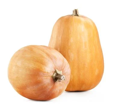 Big pumpkins  white Stock Photos