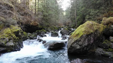 Big Quilcene River rapids inside the Olympic National Forest in Washington Stock Footage 107009589