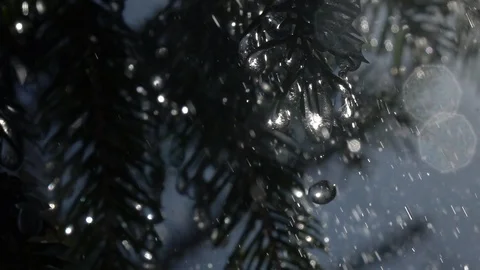 Big rain drops falling from fir needles and icicles against blue sky in slow mo 動画素材 88265745
