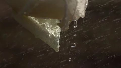 Big rain drops rolling down from petals of lovely champagne rose under the rain Video stock 92589356