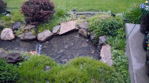 Big rain drops splash down in a backyard pond during a thundershower Stock Footage 110701841