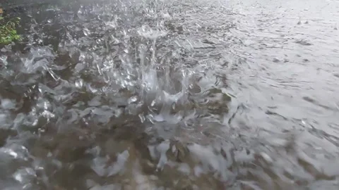 Big rain Stock Footage 208257221