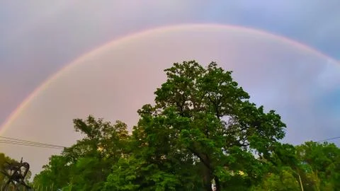 Big rainbow over a green tree in the city Stock Photos