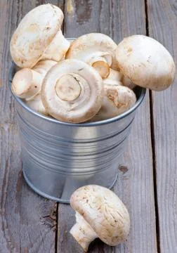Big raw champignons Stock Photos