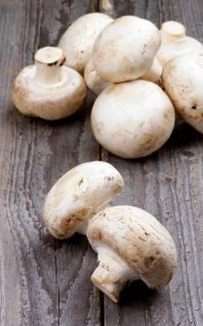 Big raw champignons Stock Photos