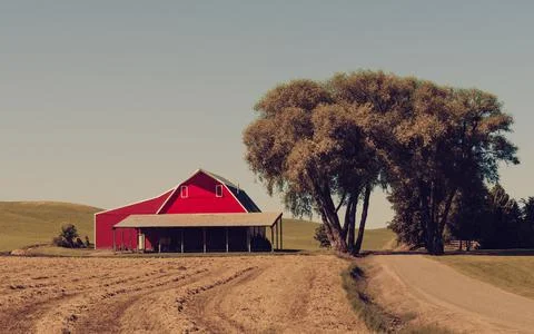 Big Red 2 Fotos de archivo