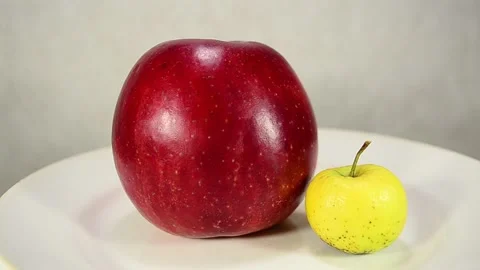Big red and small yellow Stock-Footage 143421871