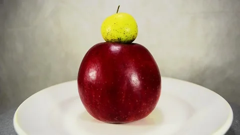 Big red and small yellow Stock-Footage 143422141