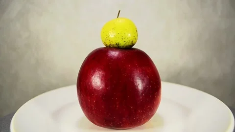 Big red and small yellow Stock-Footage 143422145