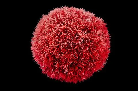 Big red ball Stock Photos