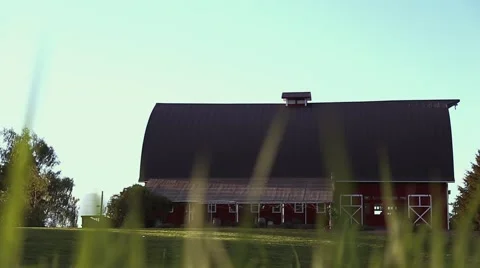 Big Red Barn through the Tall Grass Stock Footage 62576251