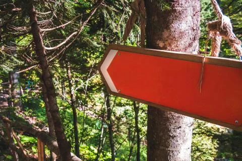 Big red blank arrow on tree in green forest showing the way Stock Photos