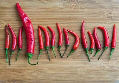 A big Red chilli pepper in small Red chilli pepper on chopping block Stock Photos
