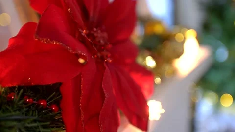 Big red flower and Blinking garland Stock Footage 140458230
