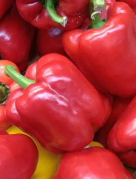 Big red peppers Stock Photos