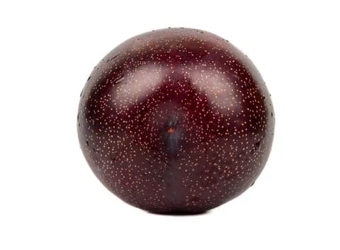 Big red plum Stock Photos