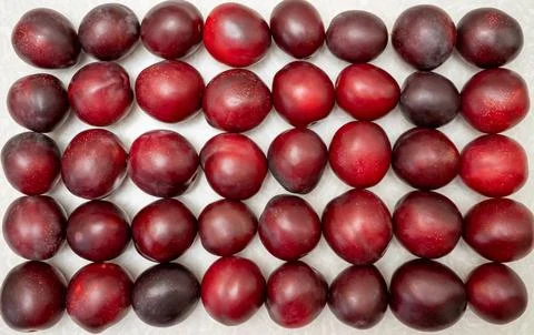 Big red plums stacked in rows on a white surface Stock Photos