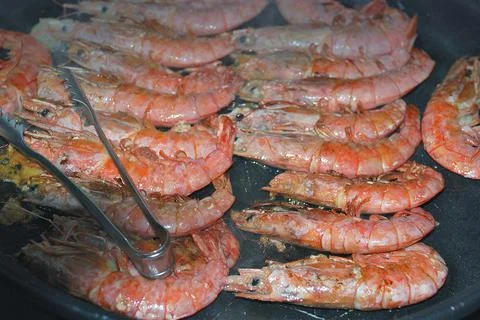 Big red Prawns Stock Photos
