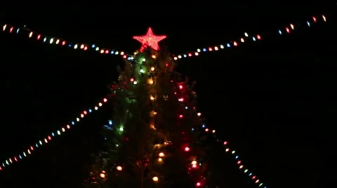 The big red star on a Christmas tree Stock Footage 59124246