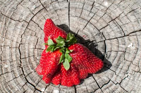 A big red strawberry with strange shape Stock Photos