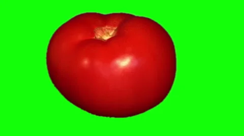 Big red tomato rotating Stock Footage 45734248