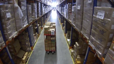 Big Retail Warehouse full of Boxes and Packages. Moving Trolley. 스톡 동영상 195704854