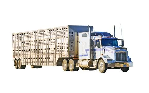 Big Rig Pulling A Stock Trailer, Isolated With A Clipping Path Stock Photos