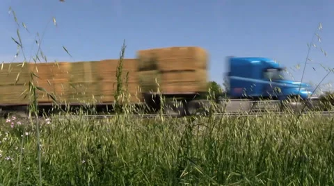 Big rig semi trucks, interstate 5, cattle feed Stock Footage 37254198
