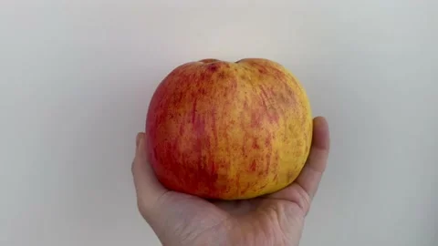 Big ripe apple in hand Stock Footage 232324266