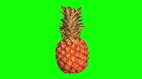 Big ripe pineapple Stock Footage 48152438