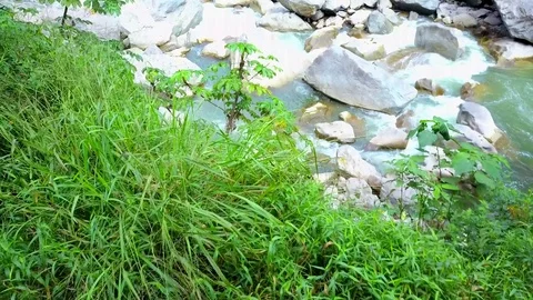 Big River in the Amazon jungle rainforest. Water flowing through rocks. Stock Footage 76119870