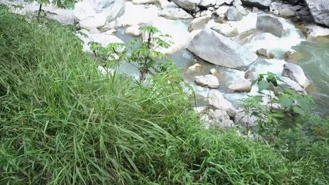 Big River in the Amazon jungle rainforest. Water flowing through rocks. Stock Footage 76128159