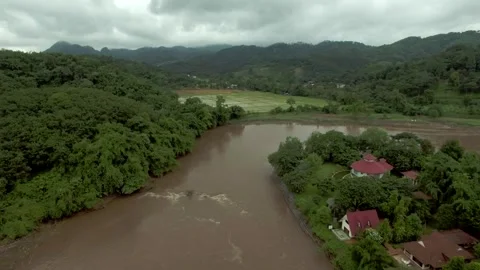Big river and rice fields in asia 4k Stock Footage 262285999