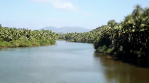 Big river between palms Stock Footage 26182508