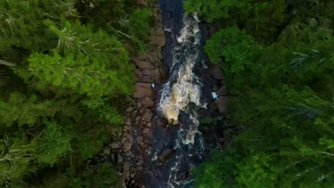 Big River In The Forest Bird's Eye View 4K Areal Stock Footage 249907468