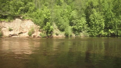 Big river in forest with cliffs at the banks in sunny summer day Stock Footage 159981441