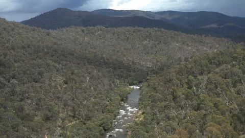 Big River Rapids Run Under Developing Grey Afternoon Storm in The Victorian Alps 스톡 동영상 221655908