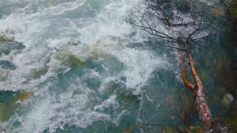 Big river in slow motion Video stock 243083311