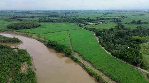 Big River Surrounded by Farmland Stock Footage 310701411