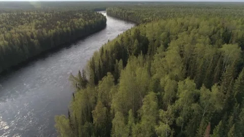 Big river surrounded by Siberian forest taiga Stock Footage 269505912