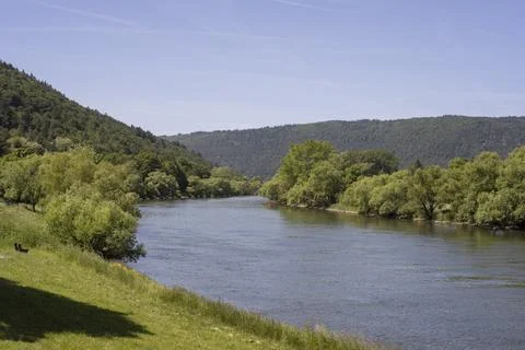 Big river with trees in the mountains Stock Photos