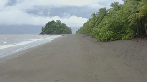 Big Rock Beach Stock Footage 220894756