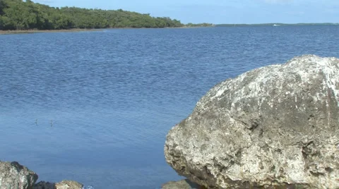 Big rock Video stock 6008678