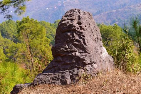 A big rock in forest background Stock Photos