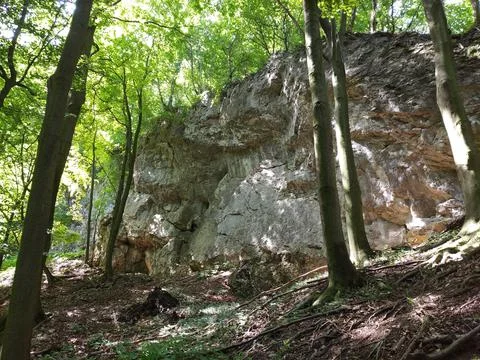 A big rock in the forest Stock-Fotos