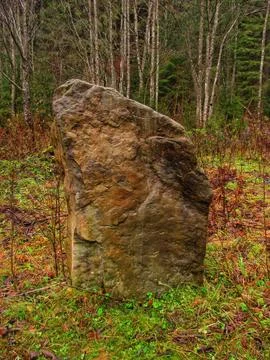 Big rock in the forest Stock Photos